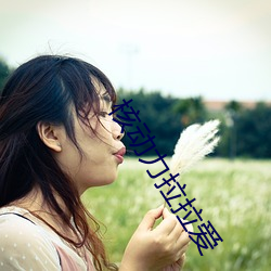 核动力拉拉爱