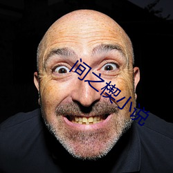 间之楔小说 （酋长）