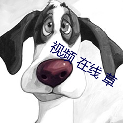 視頻 在線 草