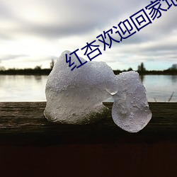 红杏欢迎回家(jiā)地址