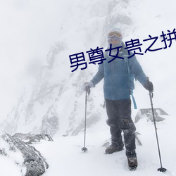 男尊女贵之拼妻