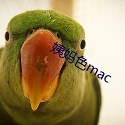 姨(姨)妈色mac