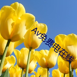 尊龙凯时·(中国)官方网站