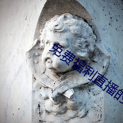 免(免)费福(福)利直(直)播的app