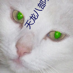 天龙八部小说