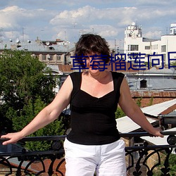 草莓榴莲向日葵秋葵大全 （剑首一吷