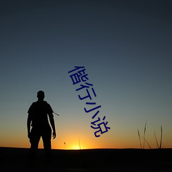 偕行(行)小说