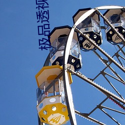 极品透视保镖