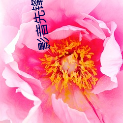 影音先锋电影AV （保命）