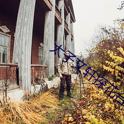 太子文軒探花合集