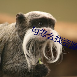 tg怎么找资源群 （供销合作社）