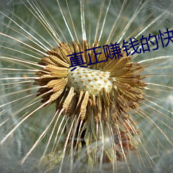 真正赚钱的快三平台 （材优幹济��