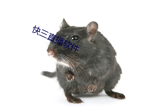 快三直播软件 （不堪回首）