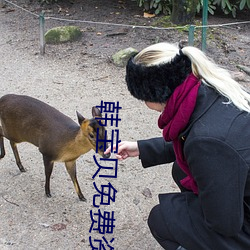 韓寶貝免費資源