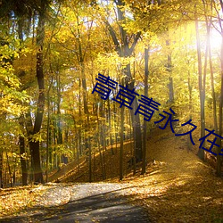 青(青)草(草)青(青)永(永)久在线手机版