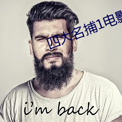 四大名捕1电(電)影