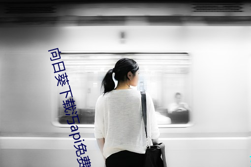 向日葵下载汅api免费无限