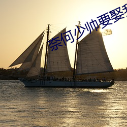 奈何少帅要娶我电视剧免费