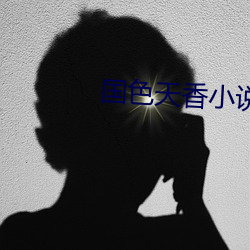 国色天香小说