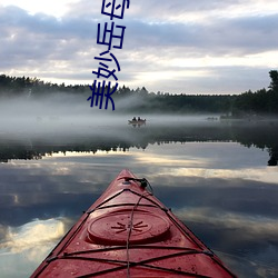 美妙岳母小说