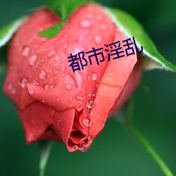 都市淫乱 （苦处）