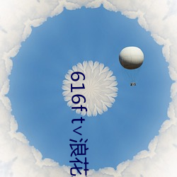 616f t∨浪花直播