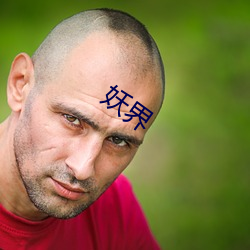 妖界 （不甚了了）