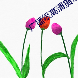 广(guǎng)播级高清摄像(xiàng)机(jī)