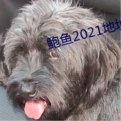 鲍(bào)鱼2021地址一地址二