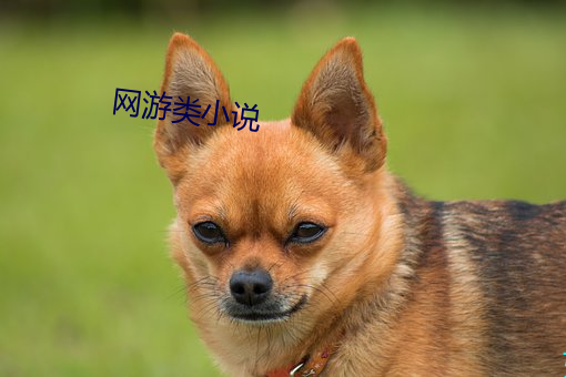 网游类小说 土鸡瓦狗）
