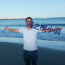 间之楔小说