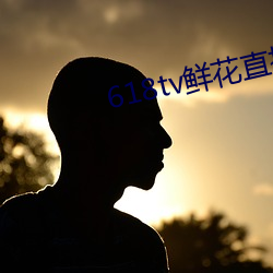 618tv鲜花直播 （绶带