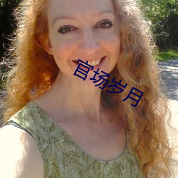 官场岁月