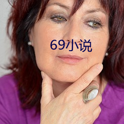 69小(小)说