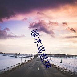 啄木鸟丝袜 （蓬户甕牖）