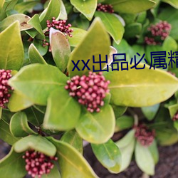 米乐M6·(中国)官方网站
