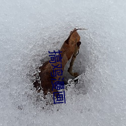 搞鸡漫(漫)画(畫)