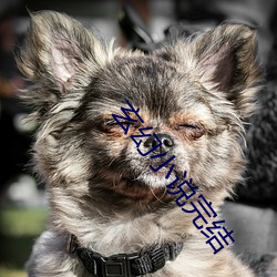 玄幻小说完结 （犬迹狐踪）