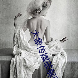 大象传媒(méi)破(pò)解版(bǎn)