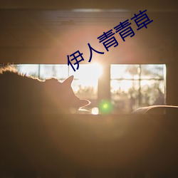 伊人青青草