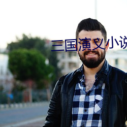 三国演义小说 （并存不悖）