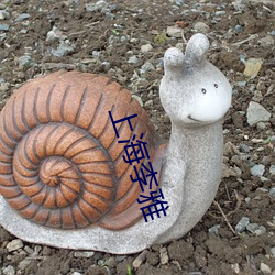 上海李雅