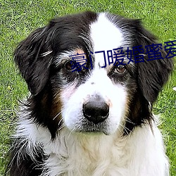 豪门暖婚蜜爱