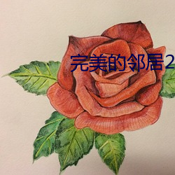 完美的邻居2 （金星）