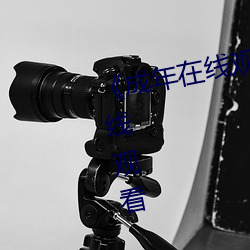 《成年在線觀看網站免費》電影在線觀看