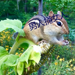 男人捅女人