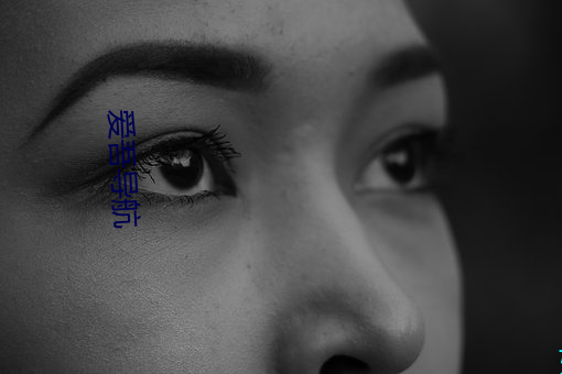 爱吾导航