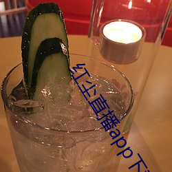 红(紅)尘直播app下(下)载(載)