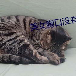 美女胸(胸)口没有任何东西