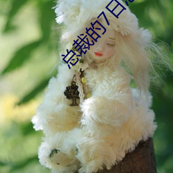 总裁的7日恋人